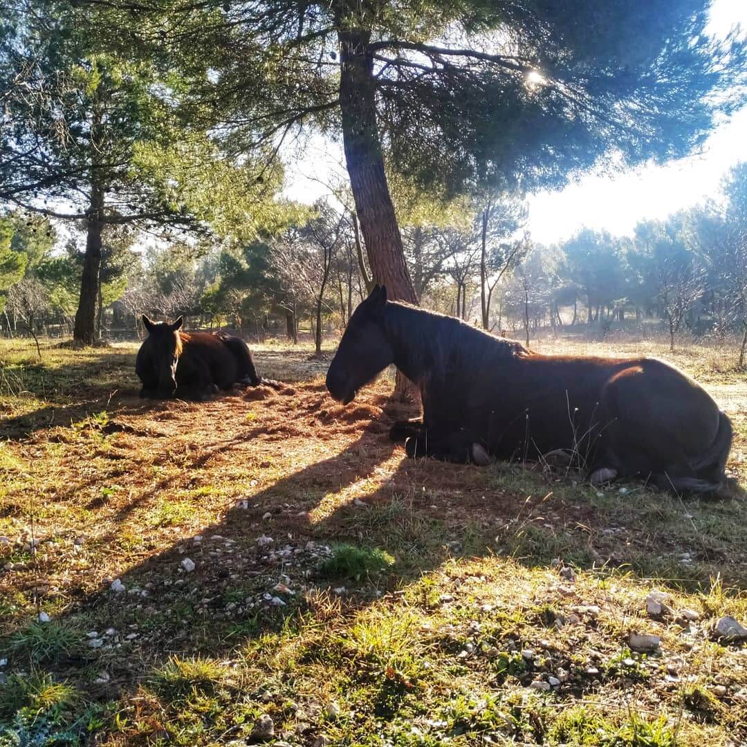 Parque Nacional de Alta Murgia Puglia