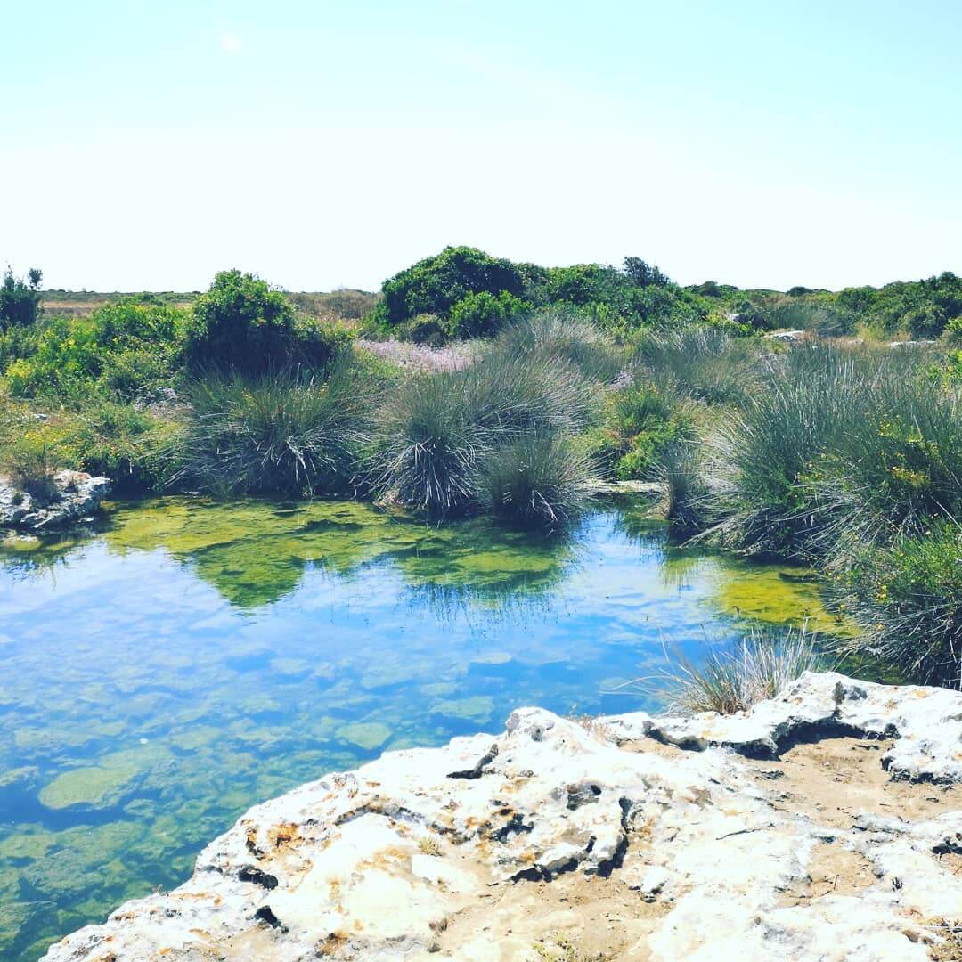 Parque Natural Regional de Porto Selvaggio y Palude del Capitano Salento Puglia