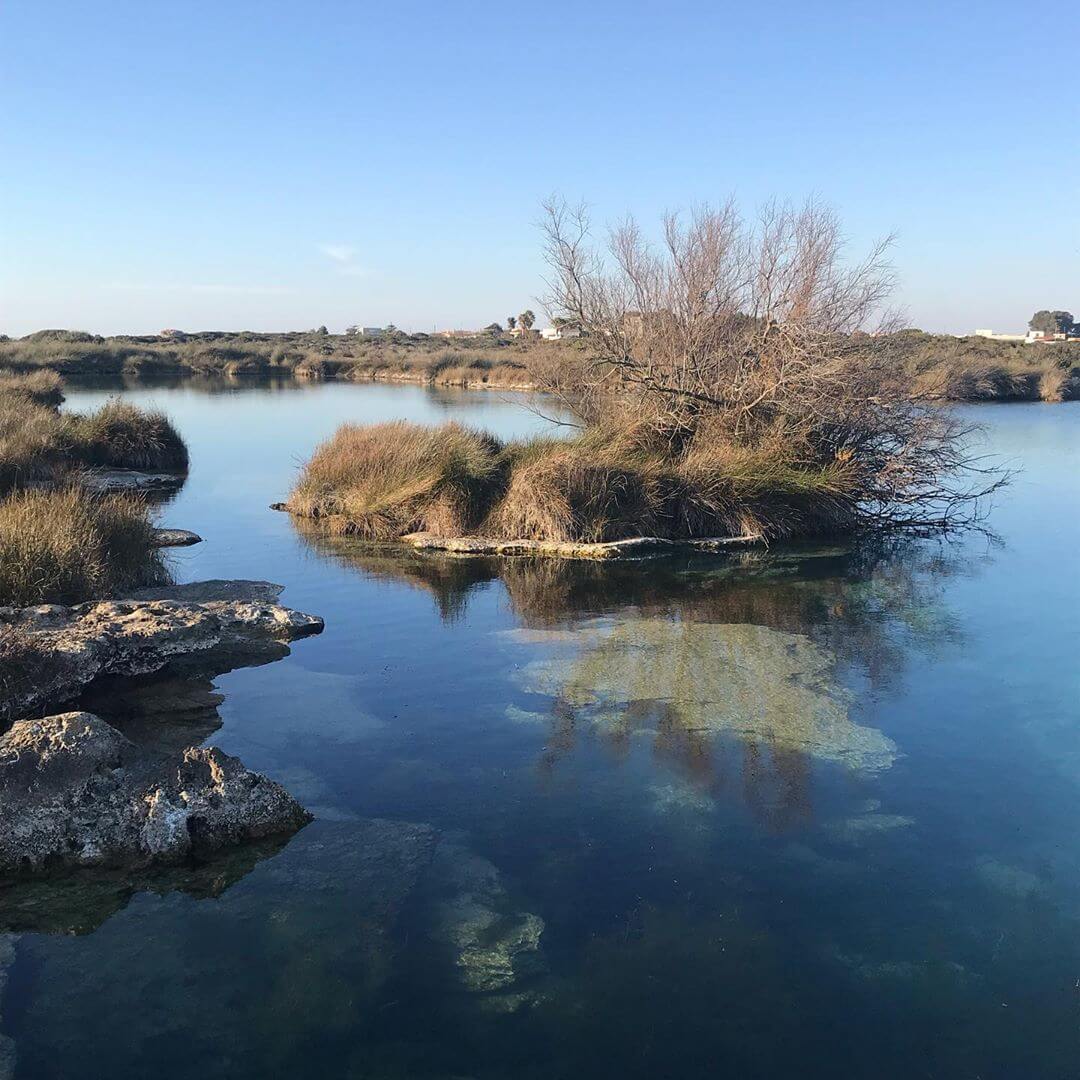 Parque Natural Regional de Porto Selvaggio y Palude del Capitano Salento Puglia